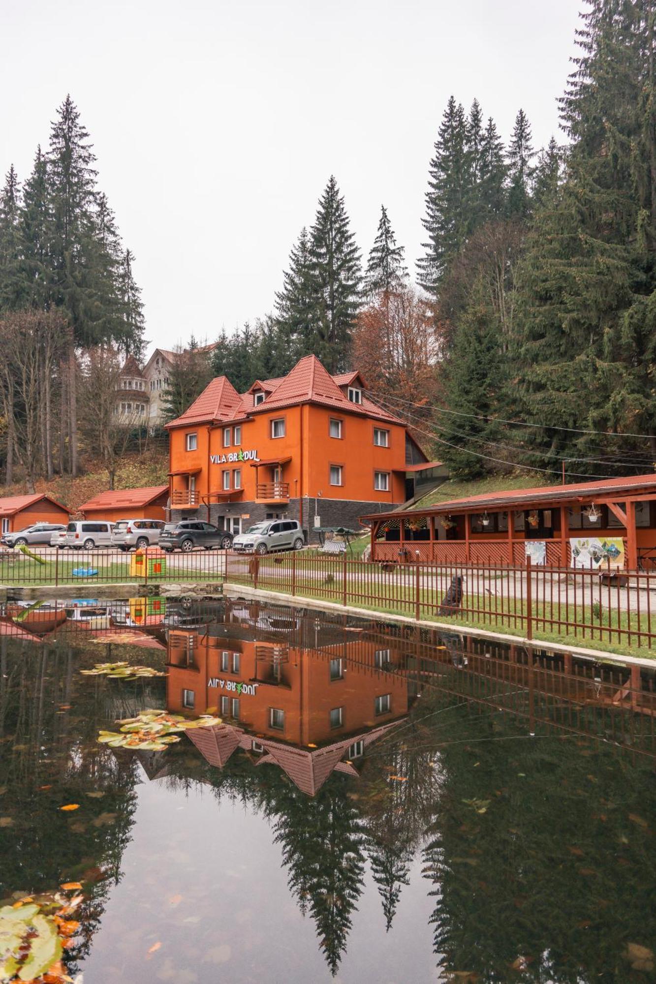 Vila Bradul Lacu Roșu Extérieur photo