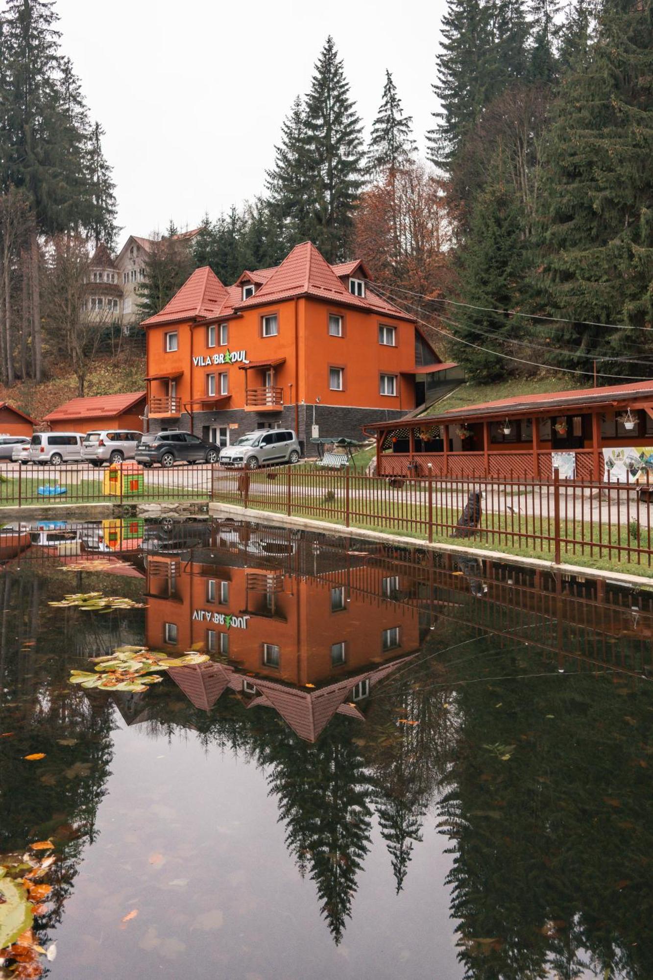 Vila Bradul Lacu Roșu Extérieur photo